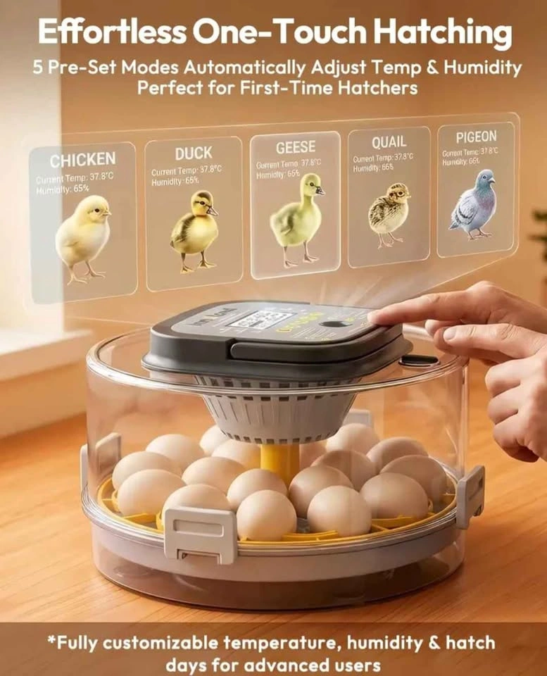 Innoland Automatic Egg Incubator – Brand New - photo 3