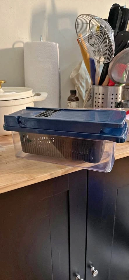 Free Vegetable Chopper with two grids