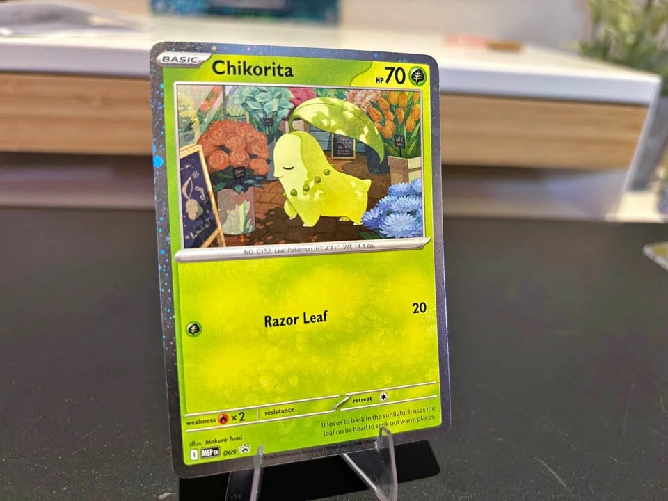 Chikorita Cosmos Holo Pokemon Card