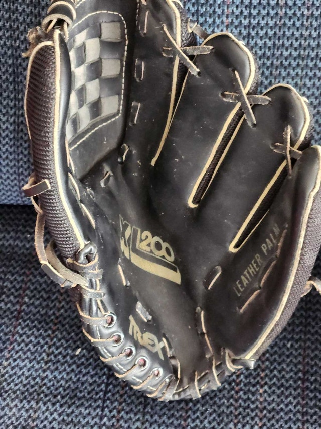 Leather Hiawatha Catcher's Mitt & Regent Fielder's Glove - photo 2