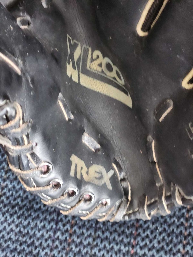 Leather Hiawatha Catcher's Mitt & Regent Fielder's Glove - photo 4