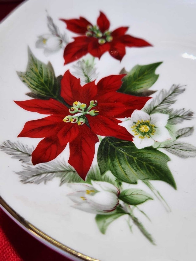 Vintage Crown Trent England Fine Bone China Poinsettia - photo 4