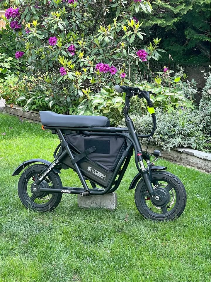 EMOVE RoadRunner V2 Electric Mini E-Bike / Scooter