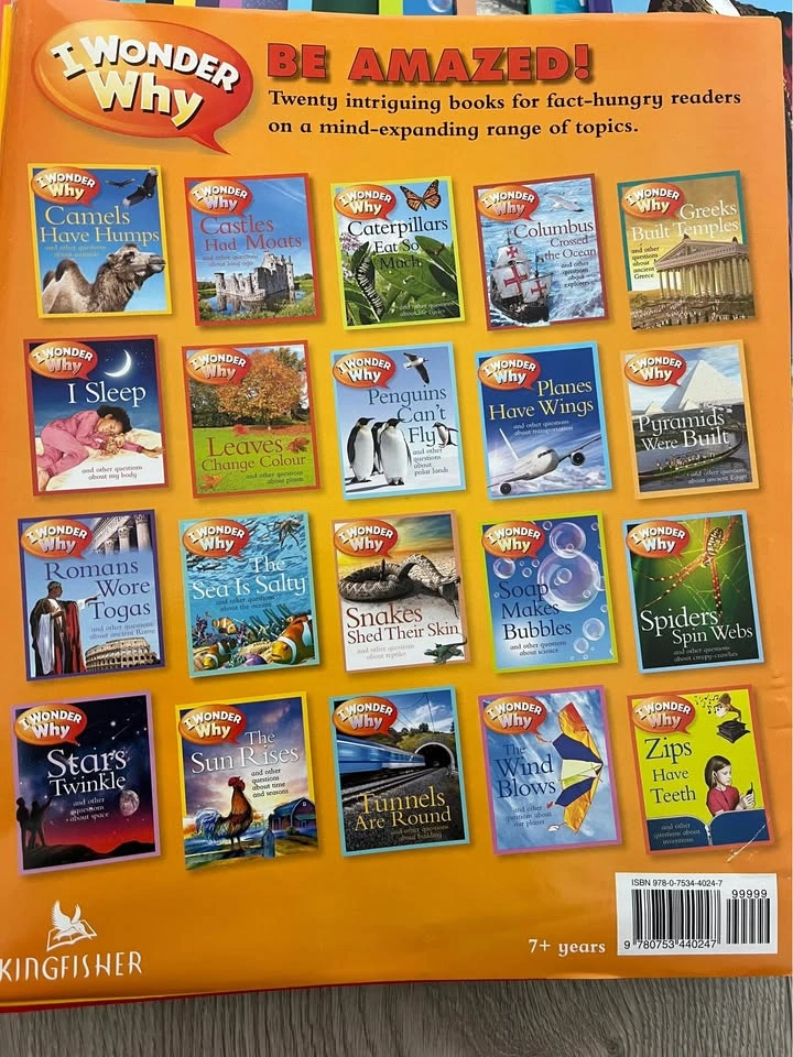 I Wonder Why Kingfisher 20 Book Collection Kids Non-Fiction - photo 2