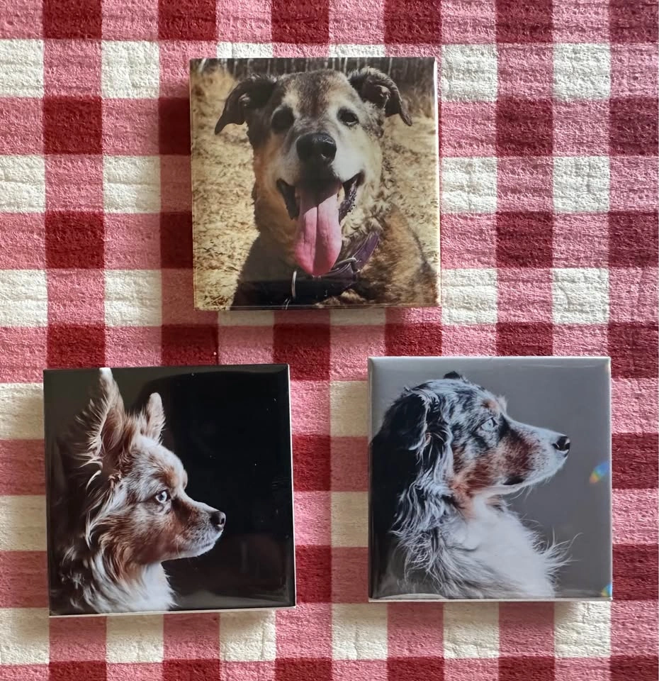 📌 Personalized Photo Magnets - photo 3