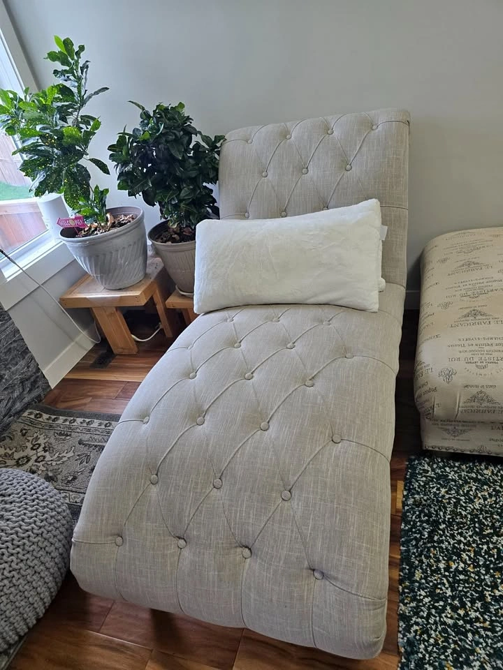 Chaise Lounge - $795 OBO