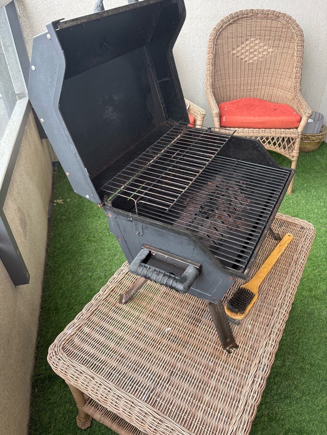 Martin Portable Propane Grill - photo 3