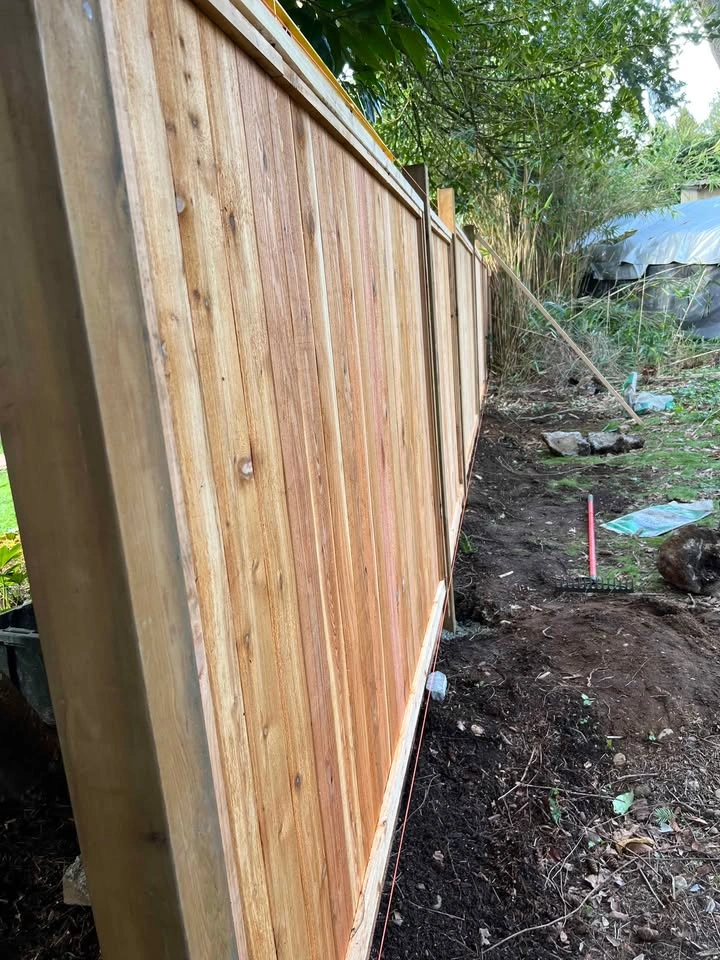 Fence Panels & Gates - photo 4