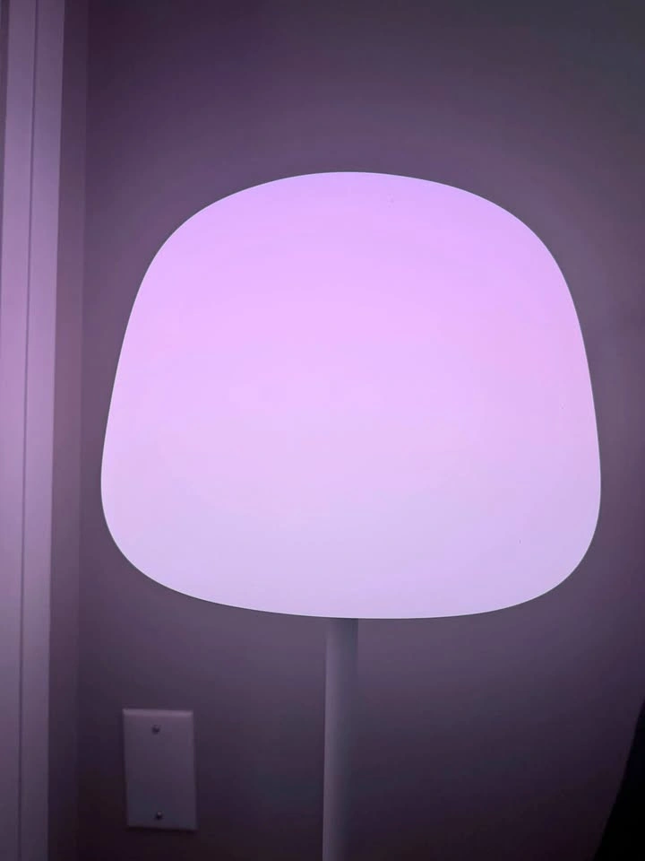 Govee Lantern Floor Lamp (less than a week old)