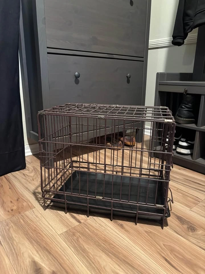 Animal kennel - photo 2