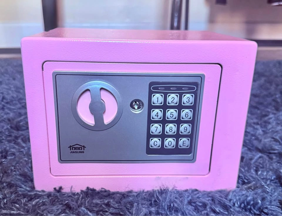 Security box BRAND NEW