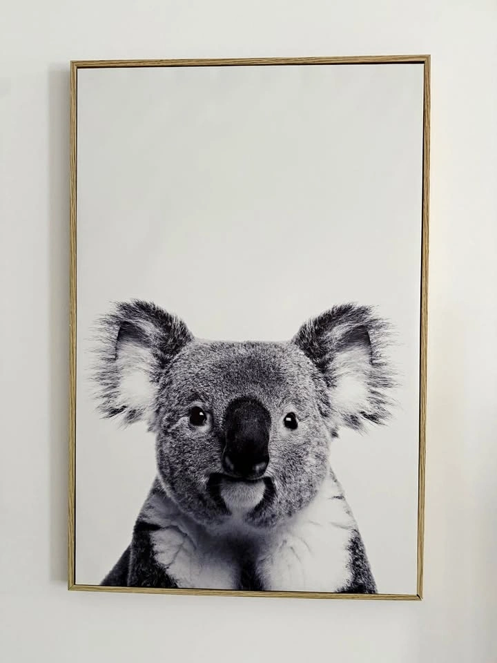 Koala Wall Art