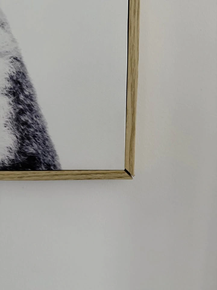 Koala Wall Art - photo 2