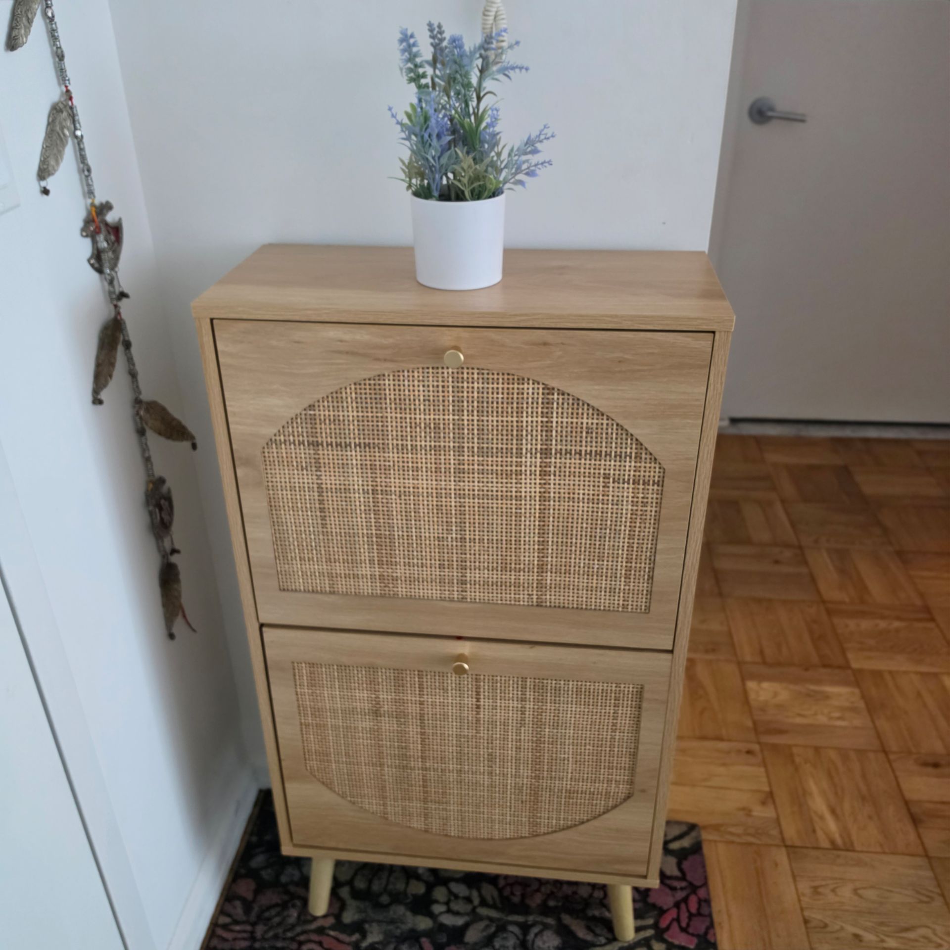 Modern Rattan Storage Cabinet / Shoe Cabinet