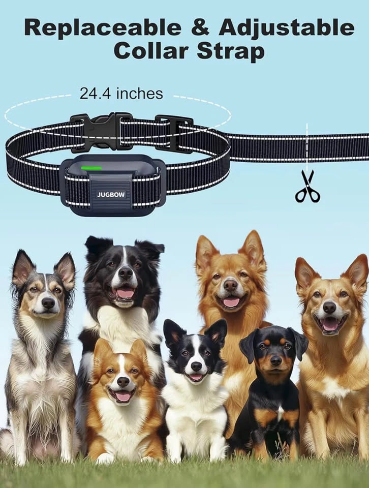 Jugbow dt-61 dog training collar - photo 3
