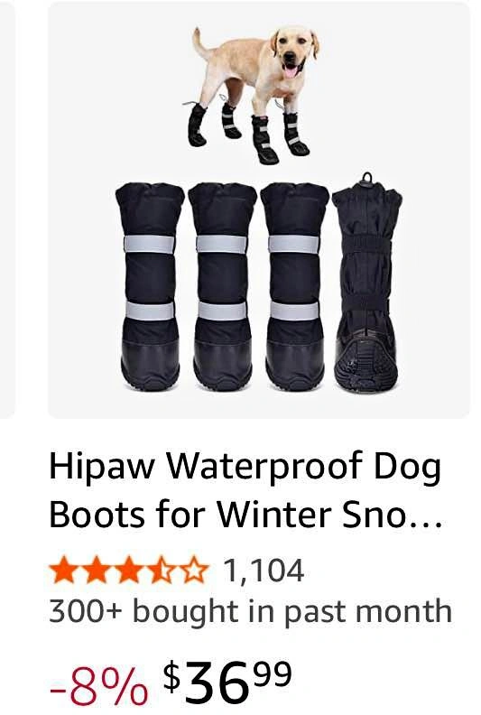 Dog boots