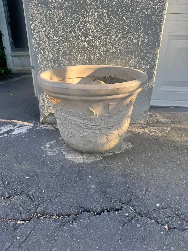 cement / concrete potters