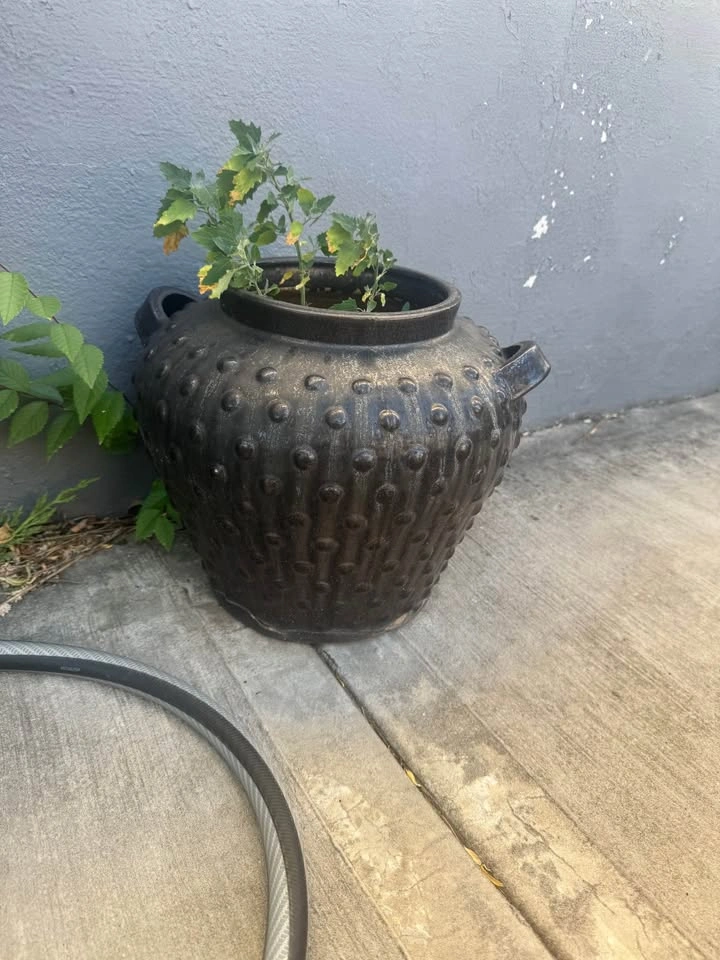 cement / concrete potters - photo 4