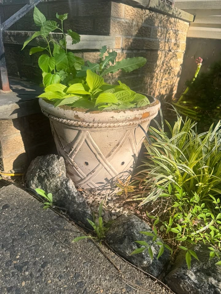cement / concrete potters - photo 5