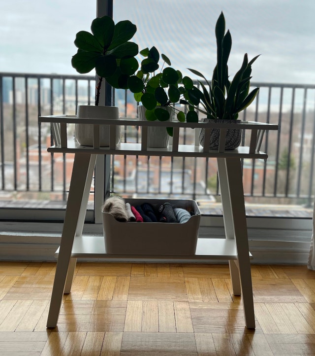 White flower stand