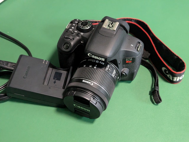 Canon Rebel T7i (800D) with EF-S 18-55mm IS STM lens