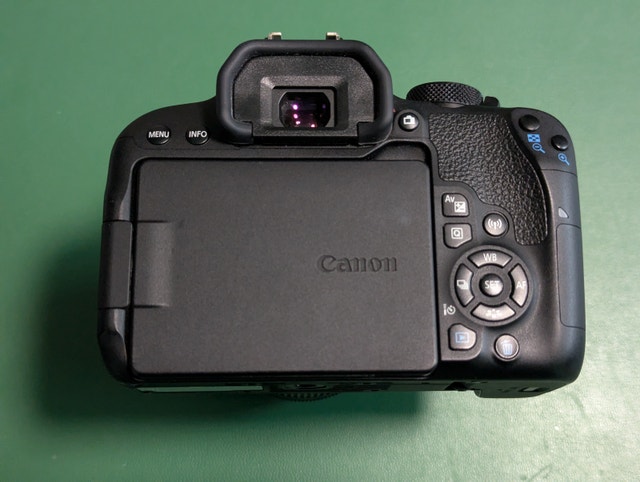 Canon Rebel T7i (800D) with EF-S 18-55mm IS STM lens - photo 5
