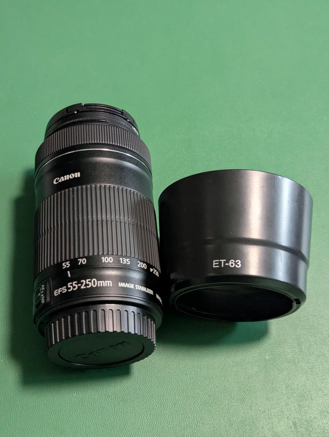 Canon EF-S 55–250mm f/4–5.6 IS STM with filter and hood - photo 2