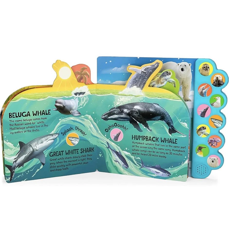Brand New Interactive Ocean Animal Sound Book – 10 Sounds - photo 5