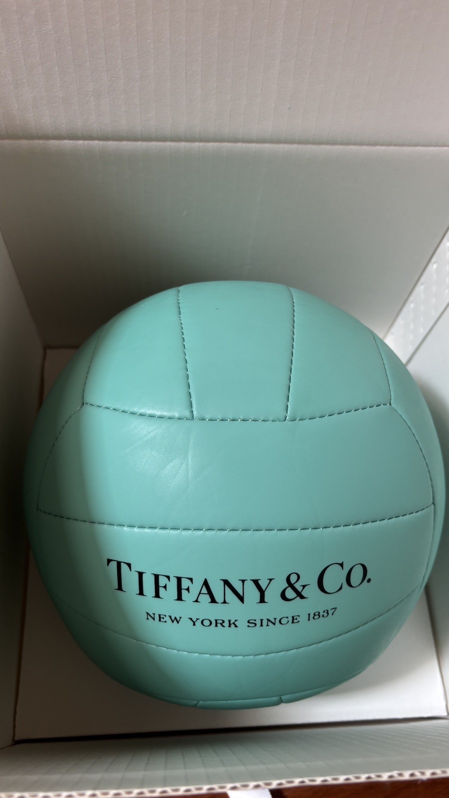 tiffany co Volleyball - photo 2