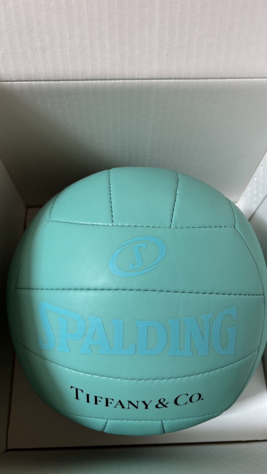 tiffany co Volleyball - photo 4
