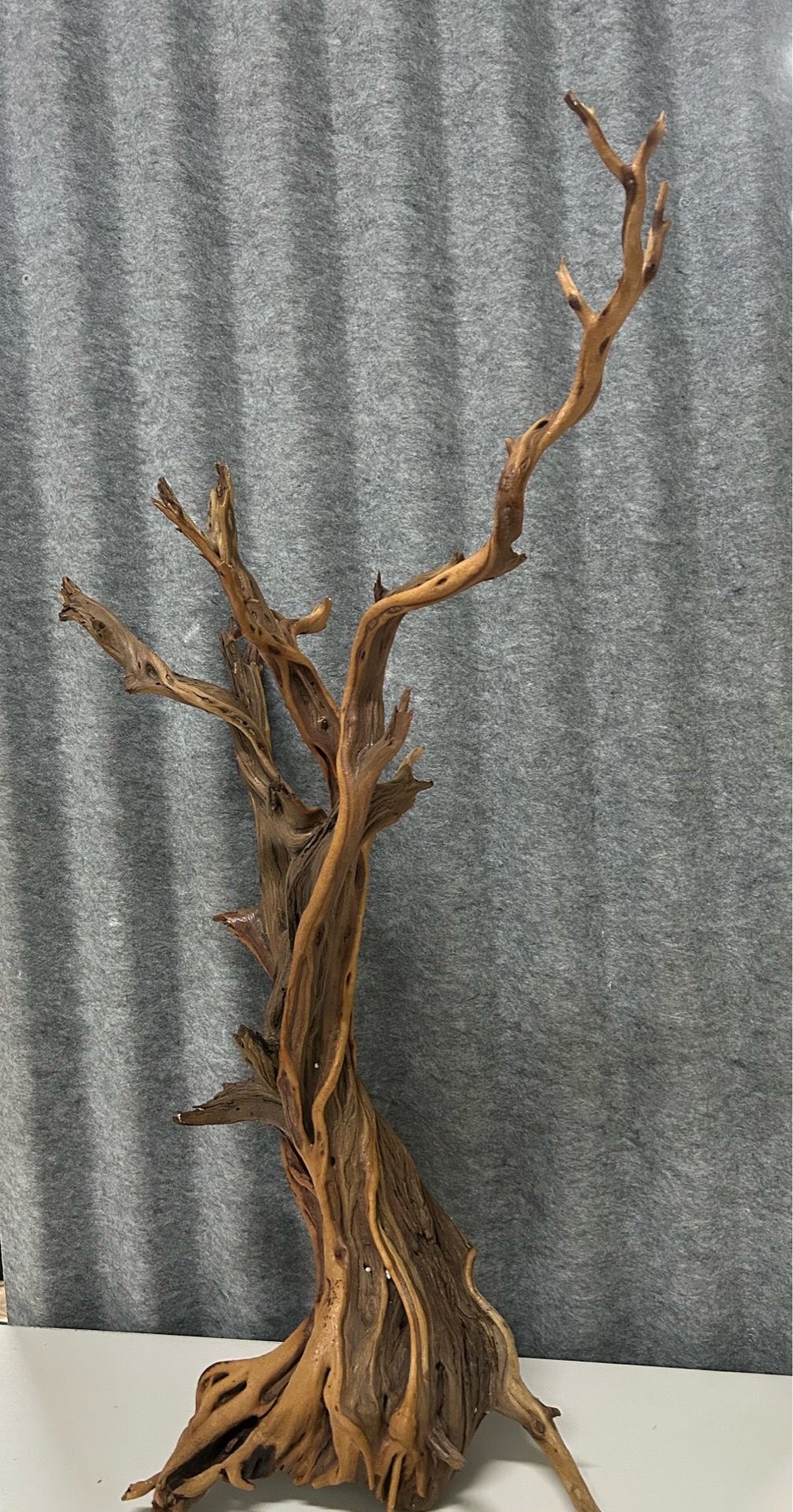 Driftwood Branch - photo 2