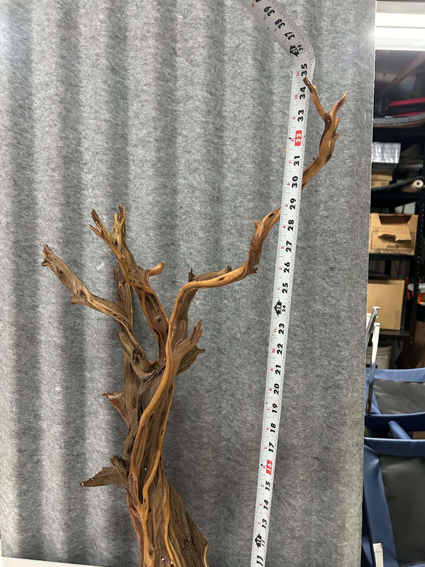 Driftwood Branch - photo 3