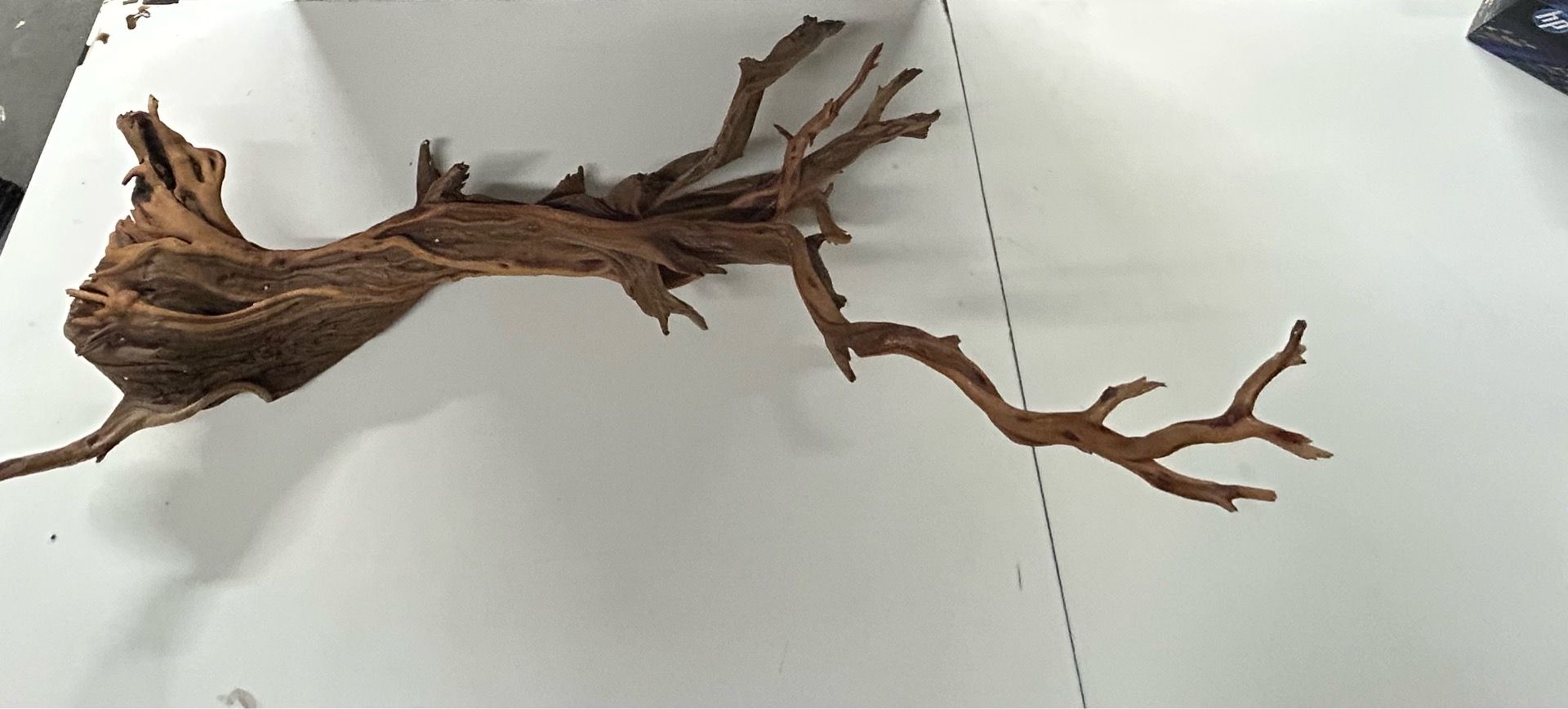 Driftwood Branch - photo 4