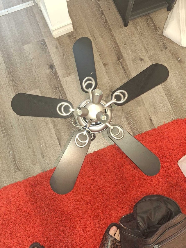 Ceiling Fan