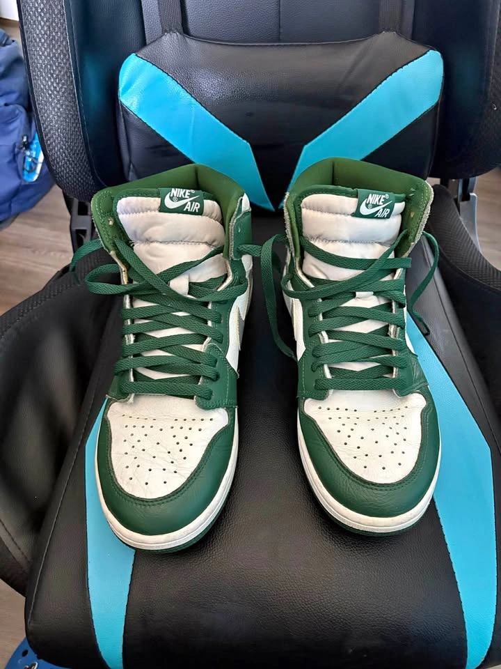 Nike Air Jordan 1 Retro High OG Gorge Green
