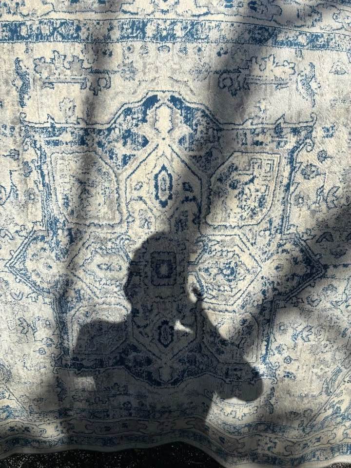 5’ 3” x 7’ 6” area rug - photo 2