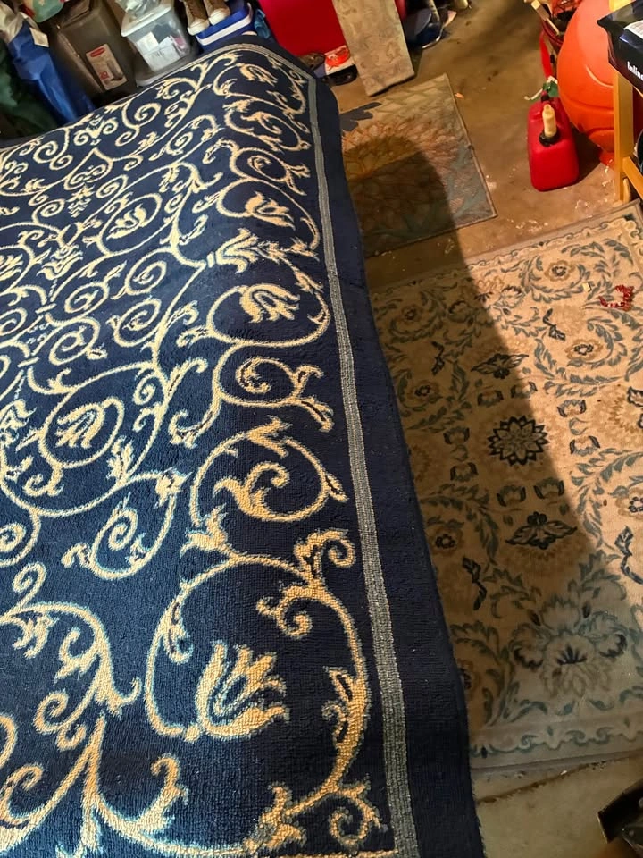 Area Rug - photo 3