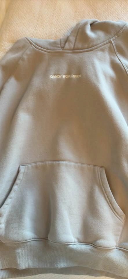 Dandy Worldwide Hoodie - photo 2