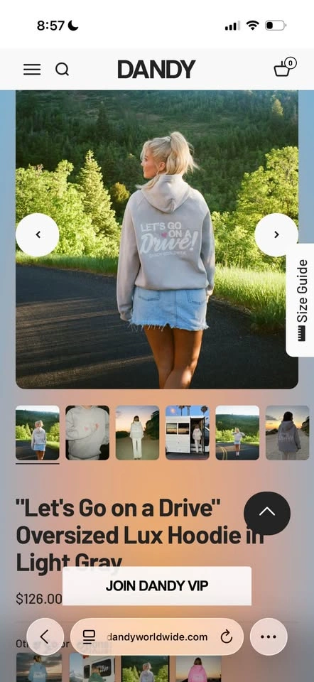 Dandy Worldwide Hoodie - photo 4