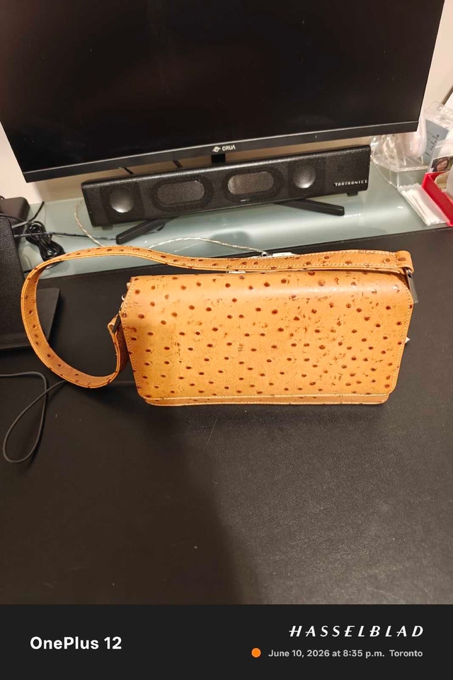 Like NEW Holt Renfrew Ostrich Embossed Leather Bag