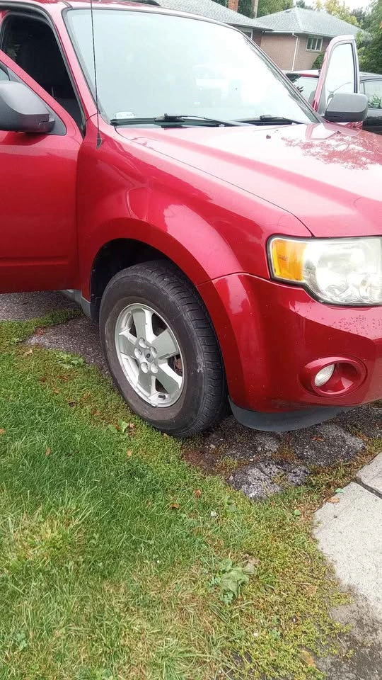 Ford Escape 2012 XLT FWD - photo 4