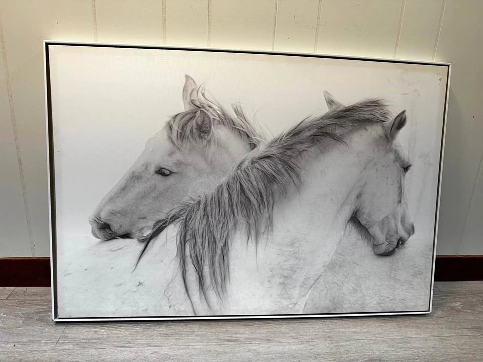 Original Horse Drawing on Canvas