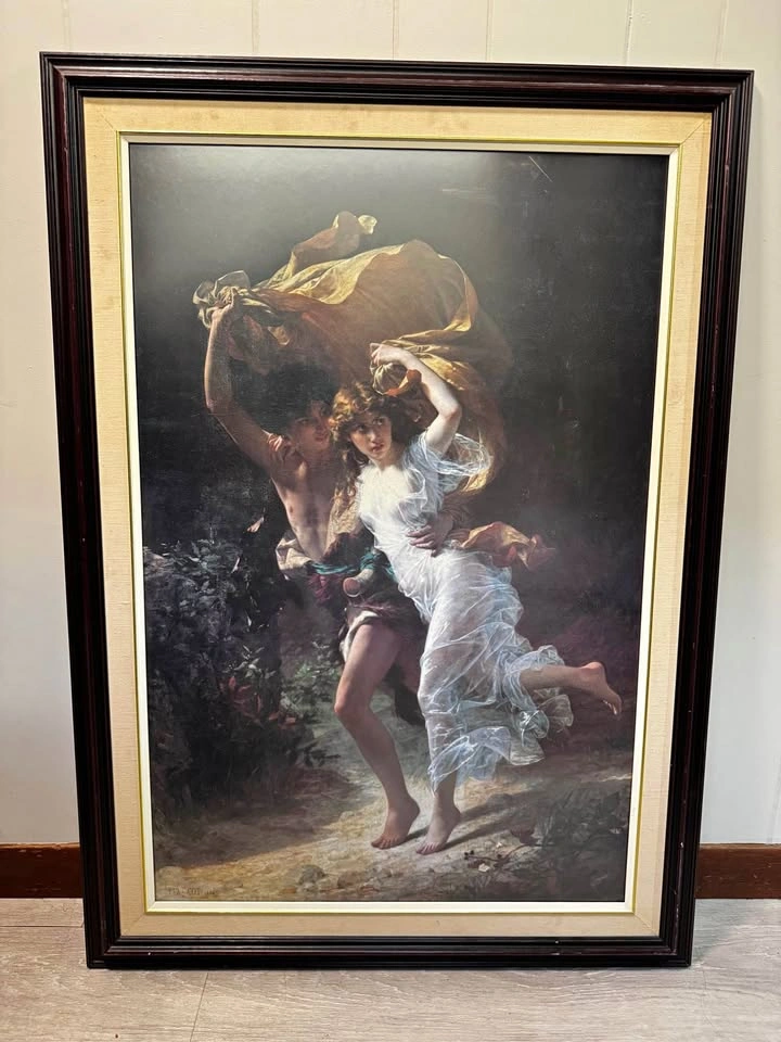 Framed Art Canvas Print
