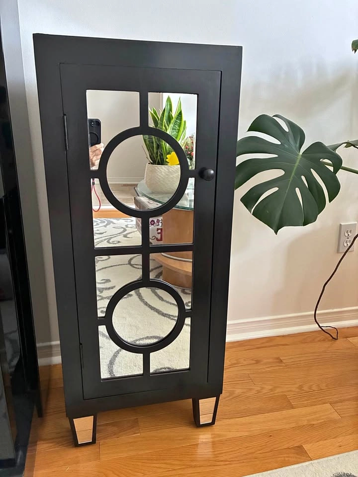 Black Mirrored Accent Cabinet