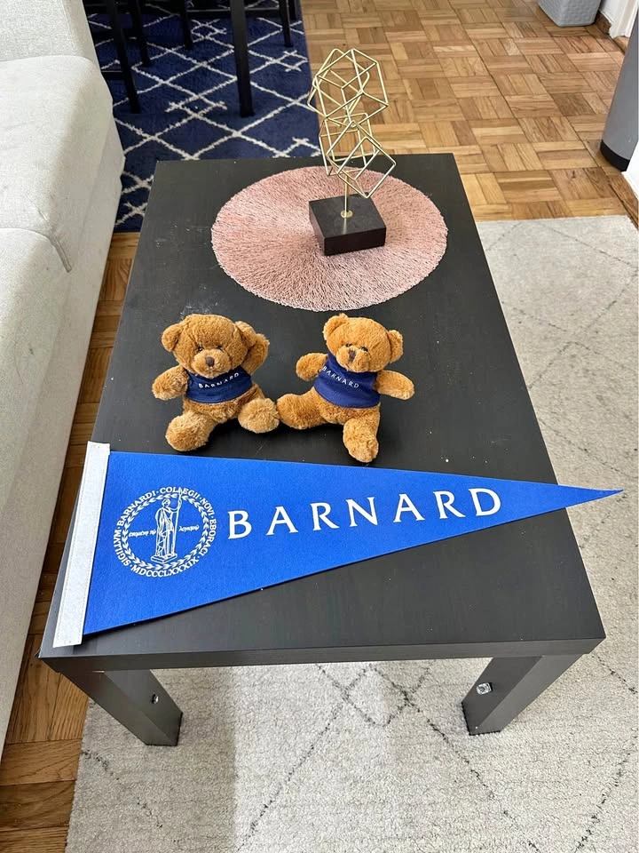 Barnard College School Spirit Bundle!