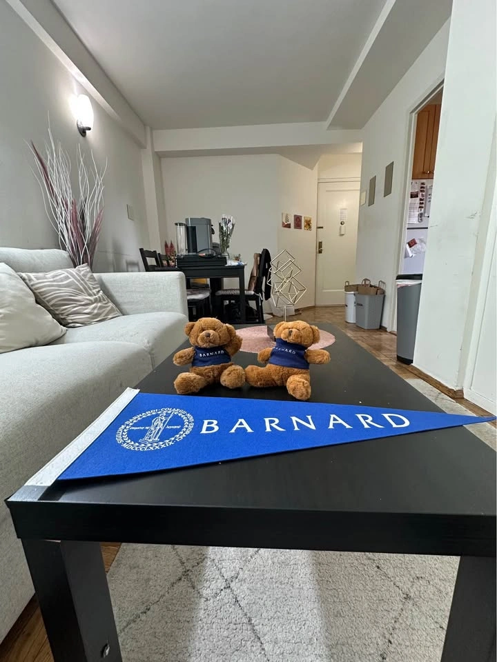 Barnard College School Spirit Bundle! - photo 2