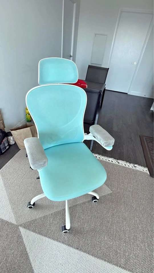 Ergonomic Mesh Office Chair with Headrest