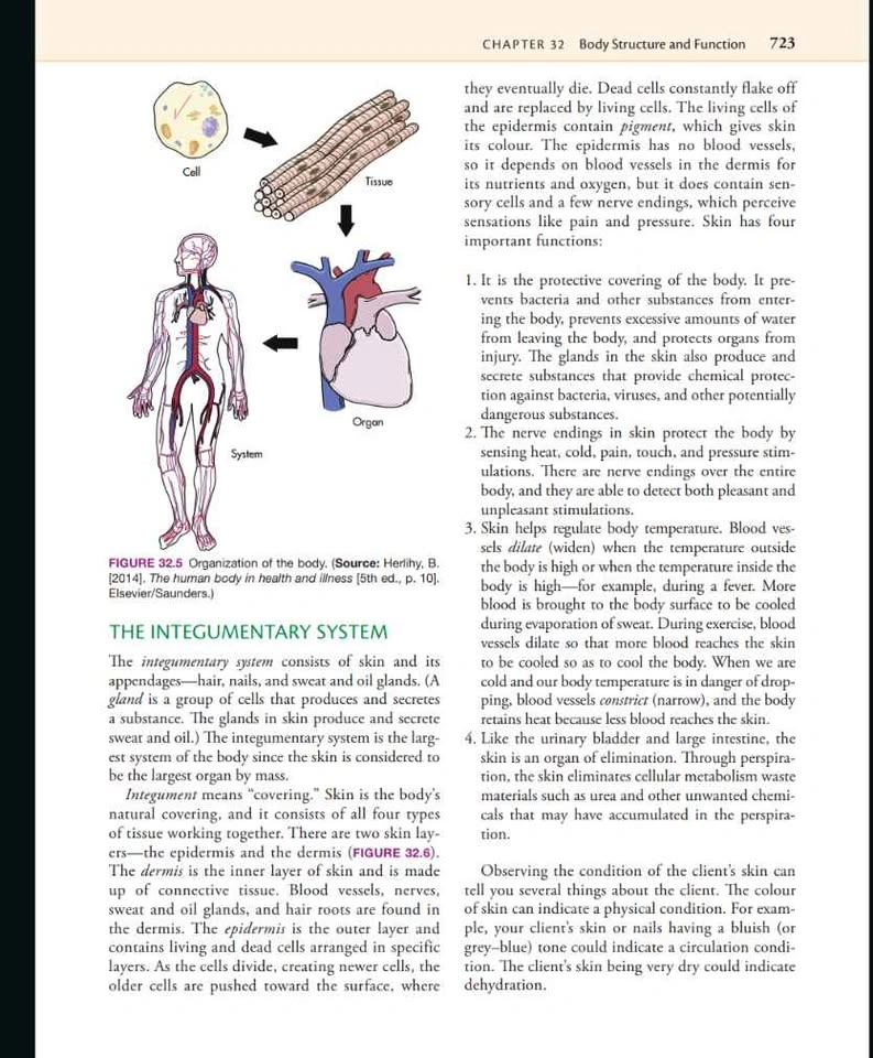 Integrating a Palliative Approach and Sorrentino's 5th Edition - photo 2