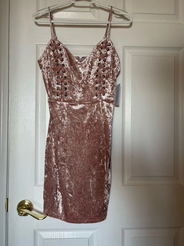 GUESS Light Pink Velvet Dress with Tags image indicator(3)