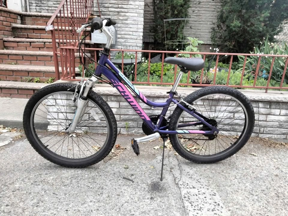 Schwinn Ranger 24" Bike - photo 2